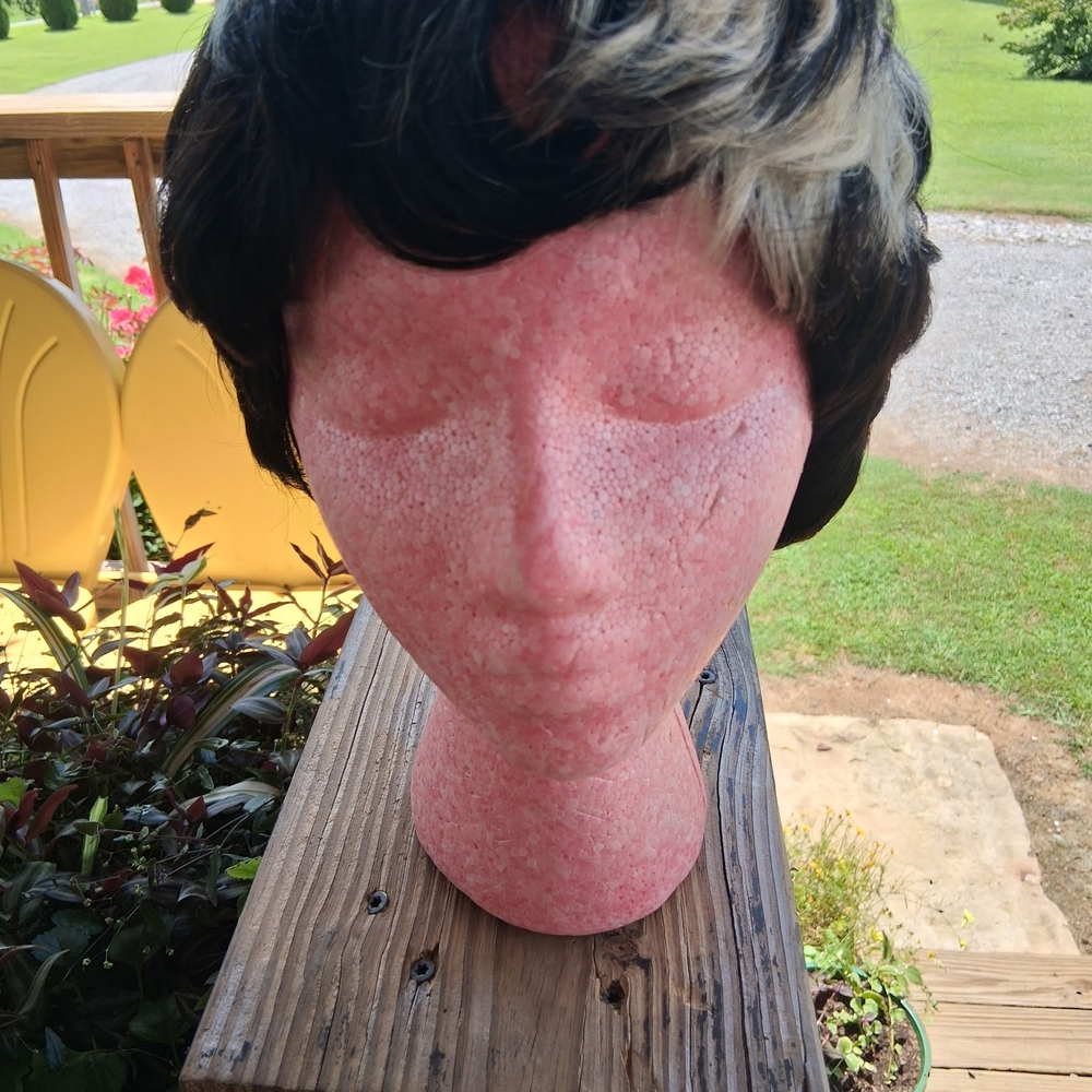 Short Black and Blonde Wig